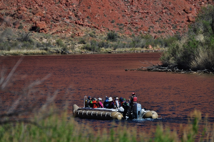 Lees Ferry and the Colorado River